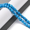 Natural Howlite Beads Strands G-G001-B02-04-2