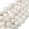 Natural White Moonstone Beads Strands G-Q169-E08-01-2