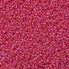 MIYUKI Round Rocailles Beads X-SEED-G007-RR0141FR-3