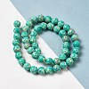 Synthetic Imperial Jasper Dyed Beads Strands G-P507-01A-01-2