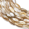 Natural Freshwater Shell Beads Strands SHEL-K006-78A-3