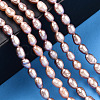 Natural Cultured Freshwater Pearl Beads Strands PEAR-N012-03L-6