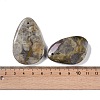 Natural Fossil Pendant G-Q164-16-3