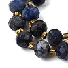 Natural Sodalite Beads Strands G-D105-B09-01-3