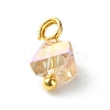 Electroplate Glass Charms PALLOY-JF00821-07-4