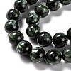 Natural Seraphinite Beads Strands G-E557-22C-2