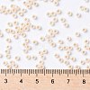 TOHO Round Seed Beads X-SEED-TR08-0751-3