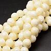 Natural Sea Shell Beads Strands SSHEL-K013-12mm-A-1