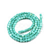 Natural Freshwater Shell Beads Strands SHEL-N003-33-A04-2