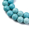 Dyed Natural Magnesite Beads Strands G-P558-A01-01B-4