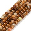 Natural Wood Lace Stone Beads Strands G-B128-A04-01-1