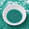 MIYUKI Delica Beads SEED-X0054-DB0918-2