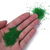 15/0 Transparent Czech Glass Seed Beads SEED-N004-004-20-4