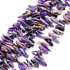 Natural Charoite Beads Strands G-E569-O03-1