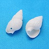 Natural Trumpet Shell Beads X-BSHE-S061-2