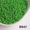 Opaque 11/0 Glass Seed Beads SEED-I013-2mm-RR47-1