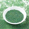 MIYUKI Round Rocailles Beads X-SEED-G007-RR0341-2