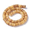 Natural Freshwater Shell Beads Strands BSHE-I016-04B-2