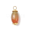6Pcs Natural Peacock Agate(Dyed & Heated) Pendants PALLOY-JF04532-03-3
