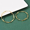 304 Stainless Steel Hoop Earrings EJEW-I320-25G-02-2