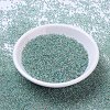 MIYUKI Round Rocailles Beads X-SEED-G007-RR0277-2