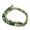 Natural Serpentine Beads Strands G-Z110-C04-8mm-3