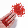 Glass Seed Beads SEED-A004-3mm-5-4