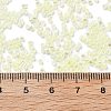 Transparent Colours Glass Seed Beads SEED-H003-01N-4