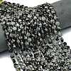 Natural Snowflake Obsidian Beads Strands G-C116-A78-02-1