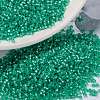 MIYUKI Round Rocailles Beads SEED-X0056-RR0572-1