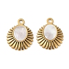 304 Stainless Steel Natural White Shell Pendants STAS-L288-07G-02-1