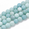 Natural Amazonite Beads Strands G-T106-188-1