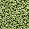 8/0 Glass Seed Beads SEED-US0003-3mm-124-2