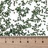 MIYUKI Round Rocailles Beads X-SEED-G009-RR0306-3