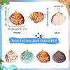 32Pcs 4 Colors Dyed Natural Shell Pendants PALLOY-AB00144-4