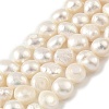 Natural Cultured Freshwater Pearl Beads Strands PEAR-A006-08A-2