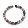 Natural Silver Leaf Jasper Beads Strands G-K181-8mm-O01-3