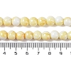 Baking Paint Glass Bead Strands GLAA-H031-01B-03-5