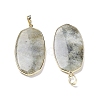 Natural Labradorite Pendants G-K338-05B-2