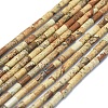 Natural Picture Jasper Beads Strands G-F631-B10-1