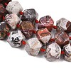 Natural Mexican Agate/Crazy Lace Agate Beads Strands G-B187-A01-01-4