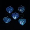 Luminous UV Plating Transparent Acrylic Pendants OACR-P010-10A-4