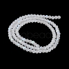 Transparent Glass Beads Strands LS-EGLA-A044-T1mm-MB19-4
