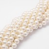 Shell Pearl Bead Strands BSHE-L026-03-8mm-1