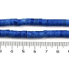 Synthetic Turquoise Beads Strands G-V003-A01-05-5