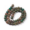 Tibetan Style Turtle Back Pattern dZi Beads Strands G-P229-A-04-8mm-5