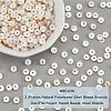 Nbeads 2 Strands Natural Freshwater Shell Beads Strands BSHE-NB0001-17-5