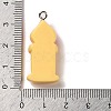 Opaque Resin Pendants RESI-K020-03F-3