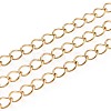 Handmade 304 Stainless Steel Twisted Chain/Curb Chain STAS-P204-02G-1