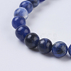 Natural Sodalite Beads Strands X-G-G515-6mm-07-3